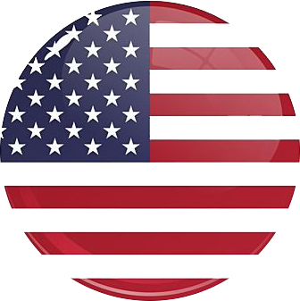 world visa council usa flag